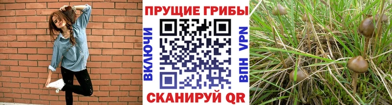 Галлюциногенные грибы MAGIC MUSHROOMS  Вихоревка 